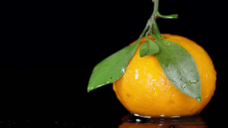 una mandarina fresca con hojas que caen gotas de agua.