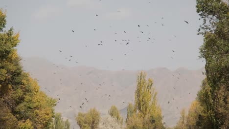 conduciendo alrededor de naryn, kirguistán, hermosos paisajes salvajes vírgenes
