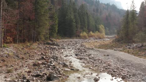 Wilder-Bayerischer-Fluss-Im-Herbst-|-4k-D-log-–-Perfekt-Für-Die-Farbkorrektur