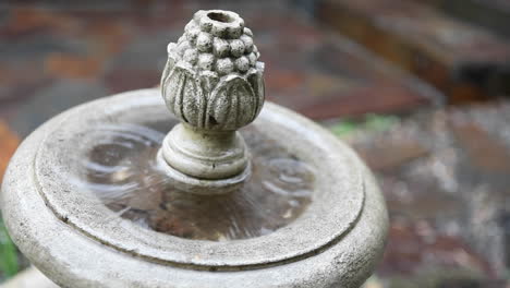 a birdbath located in a stone courtyard absorbing water from the rain