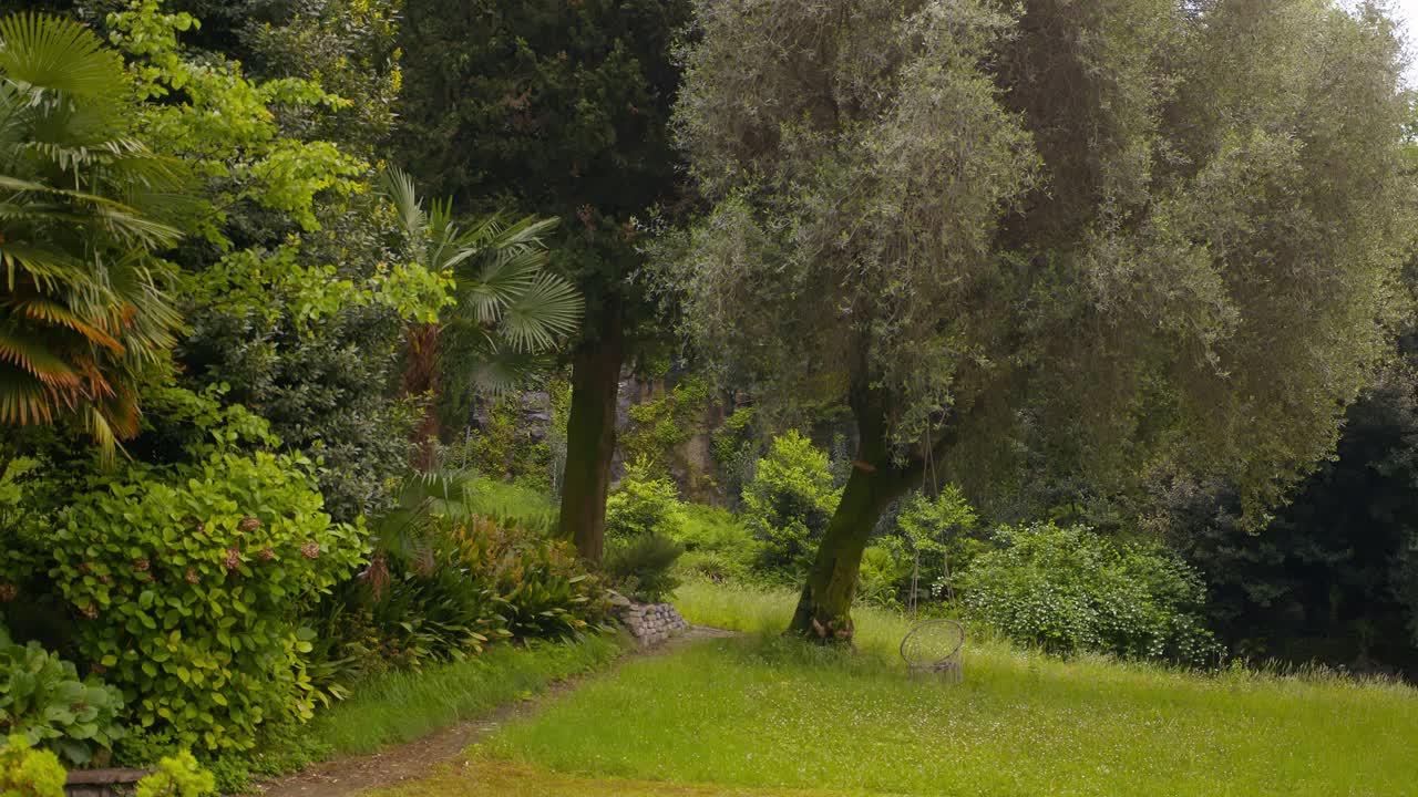 Wide static shot of garden with spring vibes and bench hanging from big tree, peaceful nature scene, Lake Como, Italy (Lago di Como)