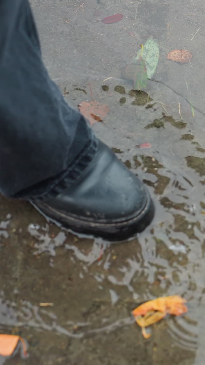Water puddle on wet paved path scattered with colorful autumn leaves and pine needles reflecting bare trees above, as black boot gently steps into shallow water