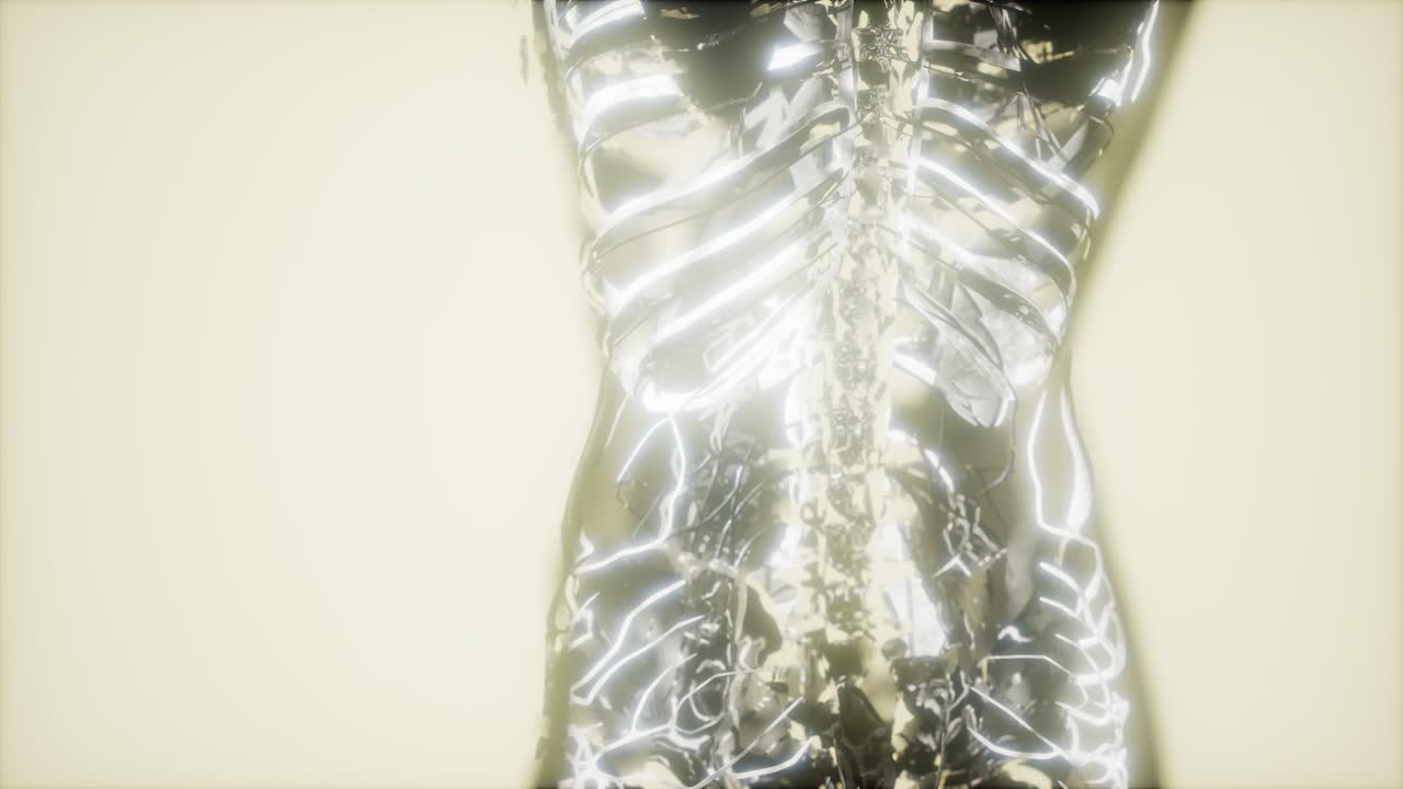 inspección de la sangre en los vasos sanguíneos del sistema circulatorio