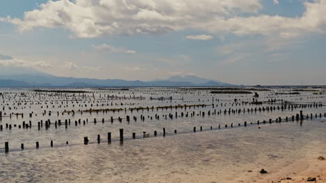 A-farmer-tending-to-an-oyster-farm-in-Bali,-Indonesia