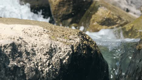 water cascades over rocks and stones in the river at weesen, glarus, switzerland, showcasing the beauty of nature