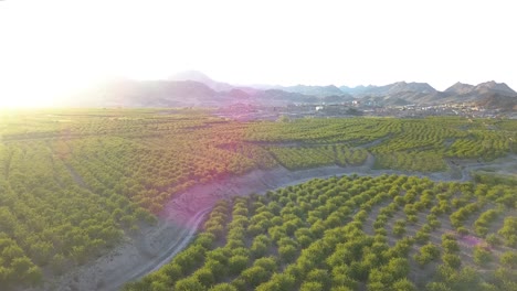 Flying-above-the-farms-in-the-spring