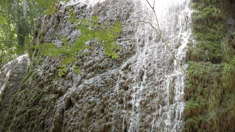 rock wall, calcareous formations