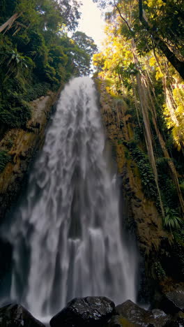 majestic waterfall in lush tropical forest
