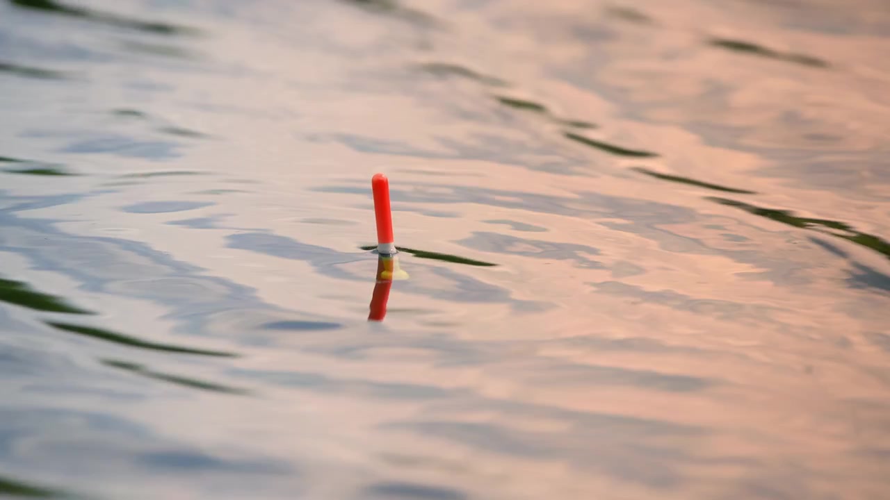 Red Fishing Float Gently Bobbing on Calm Water