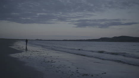silhouette of a person walking on a beach at dusk