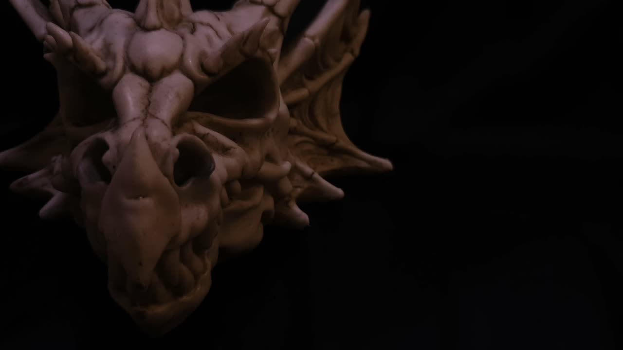 cabeza de dragón mítico