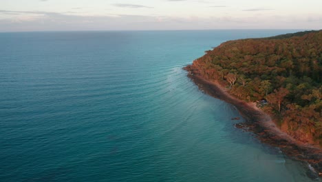 drone footage of a warm red forest right by a deep blue ocean