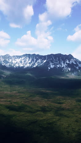 sunny landscape with views of snowcapped mountains and meadow