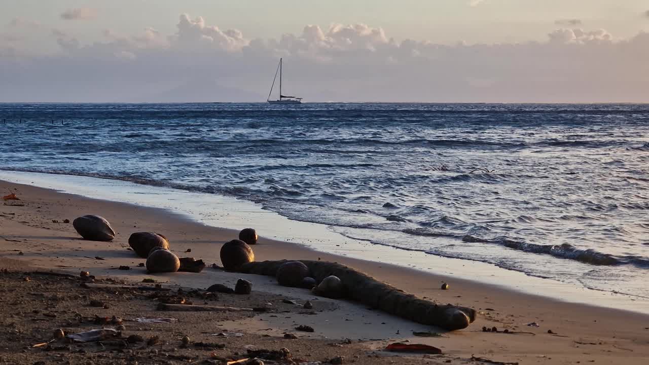 Fransk Polynesias øygruppe, gyllent sollys over stranden, kokosnøtter og seilbåt ved horisonten