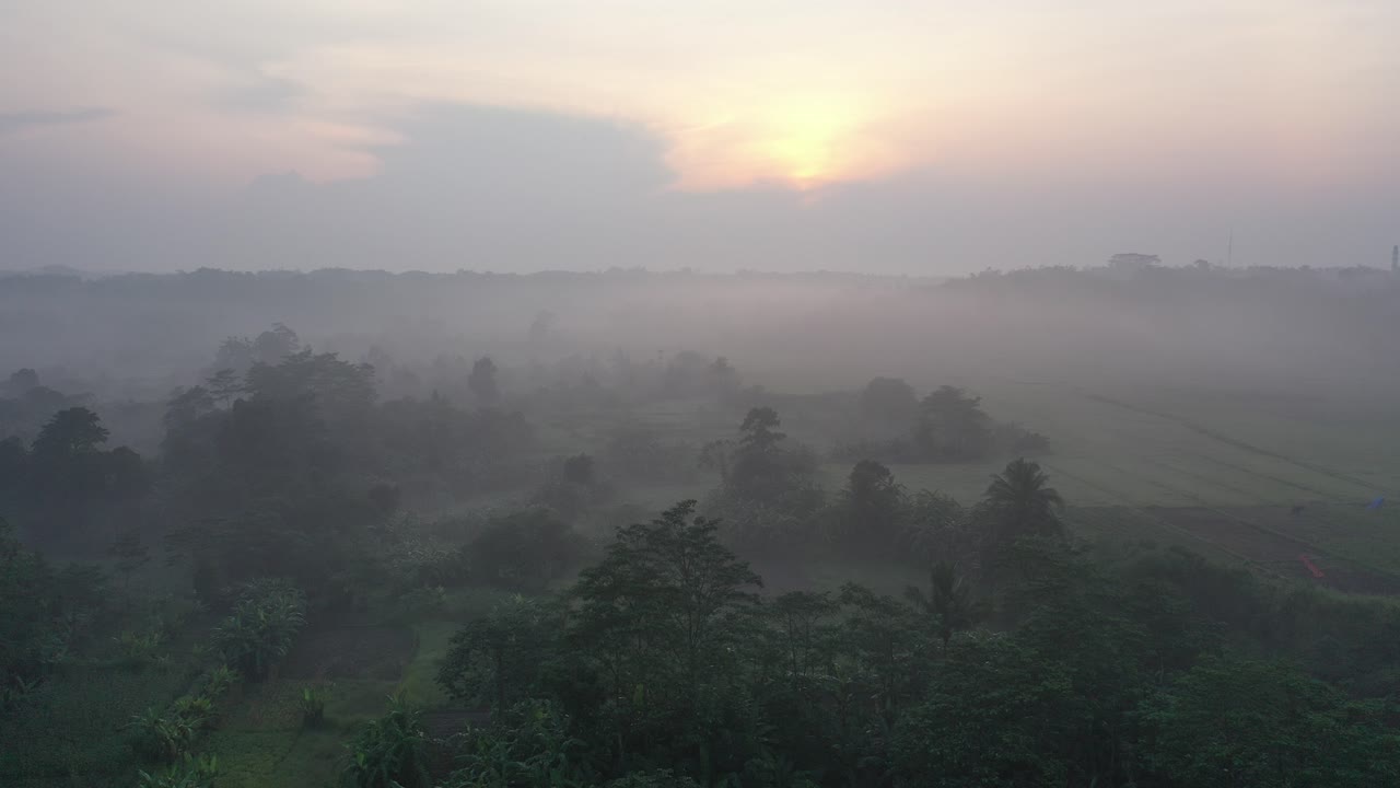 울창한 계곡 위의 안개가 가득한 해가 뜨는 것