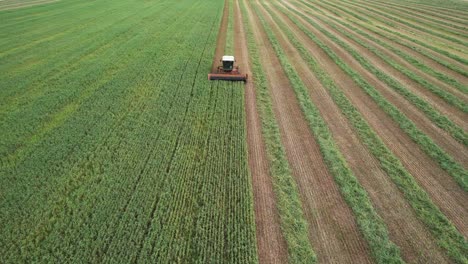 Im-Nordosten-Von-Wisconsin-Mäht-Ein-Traktor-Ein-Feld-Mit-Hafer,-Bohnen-Und-Roggen