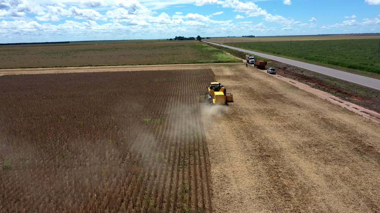 cosechadora recolectando soja de un campo en tierra de sabana brasileña deforestada - sobrevuelo aéreo