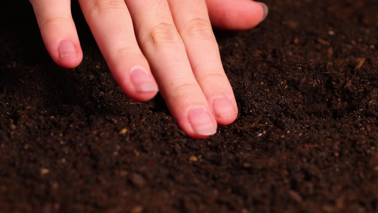 Hands plant seeds in dark soil, followed by gentle watering. Close-up, warm lighting, and earthy tones create a nurturing atmosphere