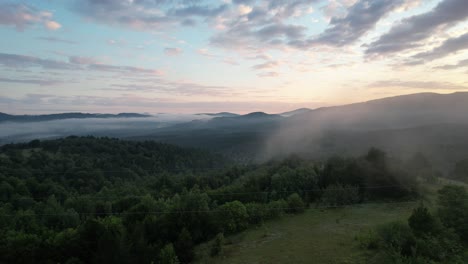 Klimakrisenwälder,-Neblige-Luftaufnahme-Des-Grünen-Waldes,-Nadelwaldnatur,-Sich-Veränderndes-Klima-Und-Unsere-Welt,-Sauerstoffquellenwälder