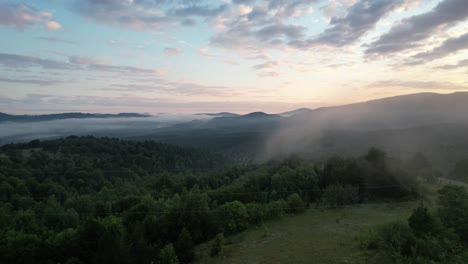 climate crisis forests, aerial foggy view of green forest, coniferous pine forest nature, changing climate and our world, oxygen source forests