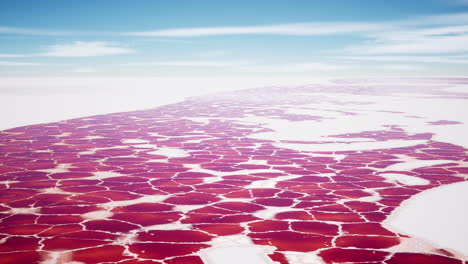 beautiful view of pink lake on summer day