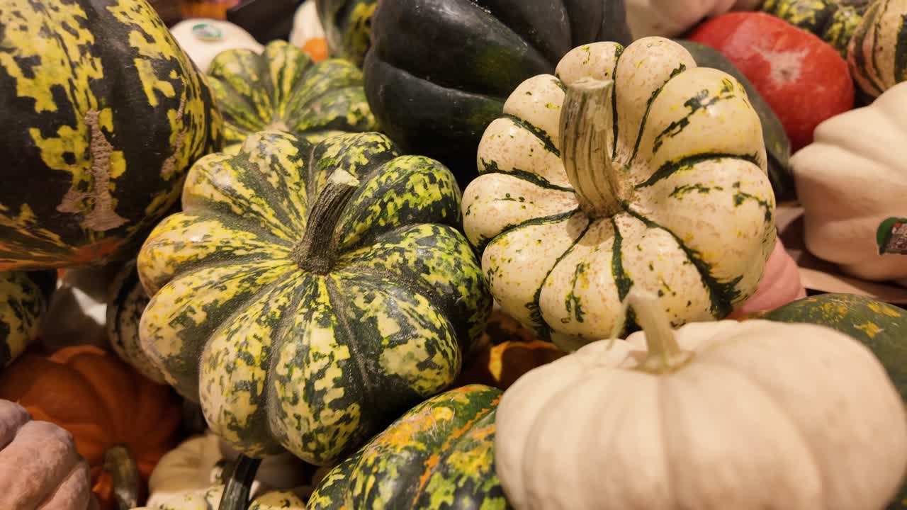 Pile of colorful pumpkins and squashes