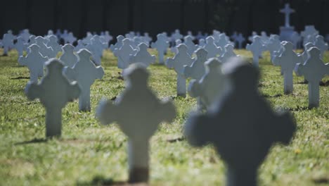 close-up standing footage with narrow focus range but sligthly narrowed angel of view from a lonely and abandoned burial place