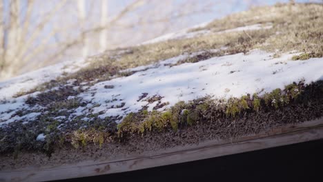 50 fps drops falling down from thatch roof on a bright sunny day with melting snow