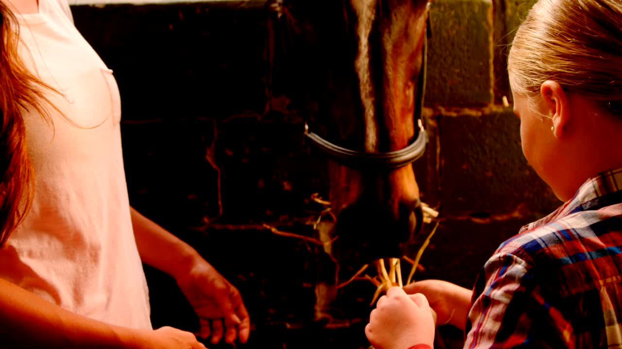 어머니 와 딸 이 말 에게 먹이 를 주는 4k