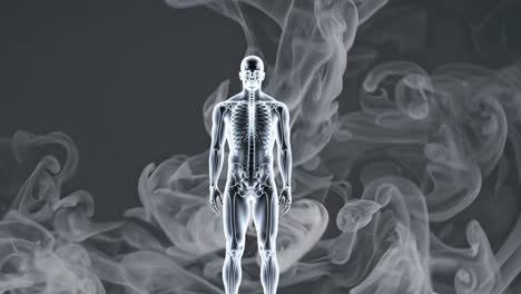 human skeleton in smoke