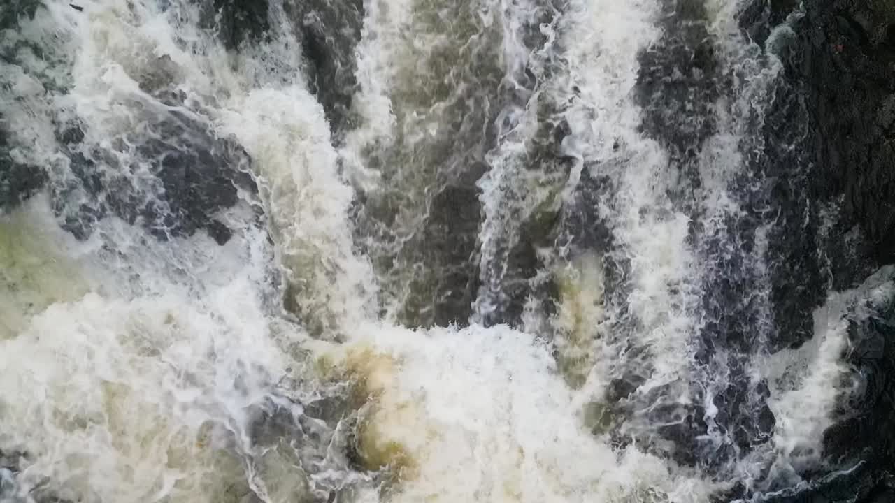 Large Atlantic Salmon( Salmo salar) jumping up a small waterfall on Almond River in Scotland. Aerial View