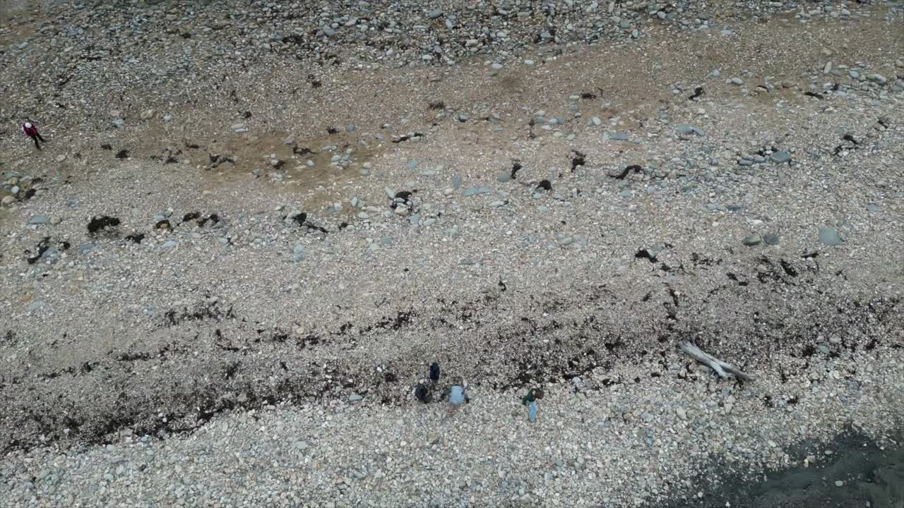 해변에서 돌을 모으고 있는 가족. 영국 도싯