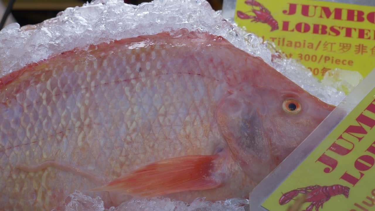 Cá diêu hồng đỏ tươi ướp đá trong thùng tại chợ cá đường phố Thái Lan để bán.