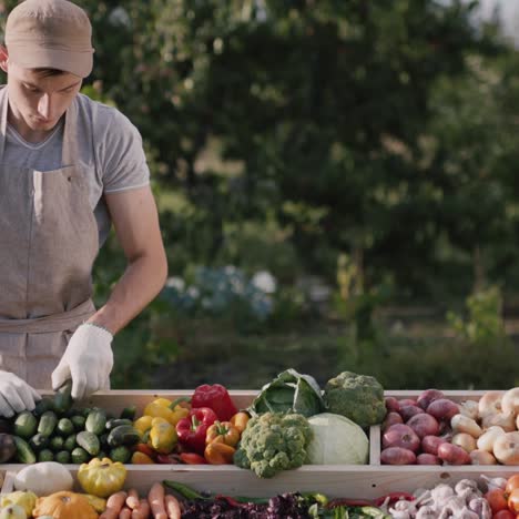 farmer lays vegetables on the counter of a farmers market