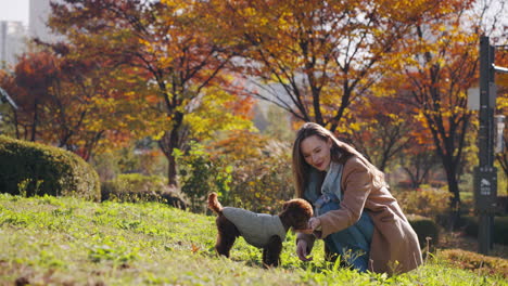 woman playing with her cute poodle dog in the park during autumn