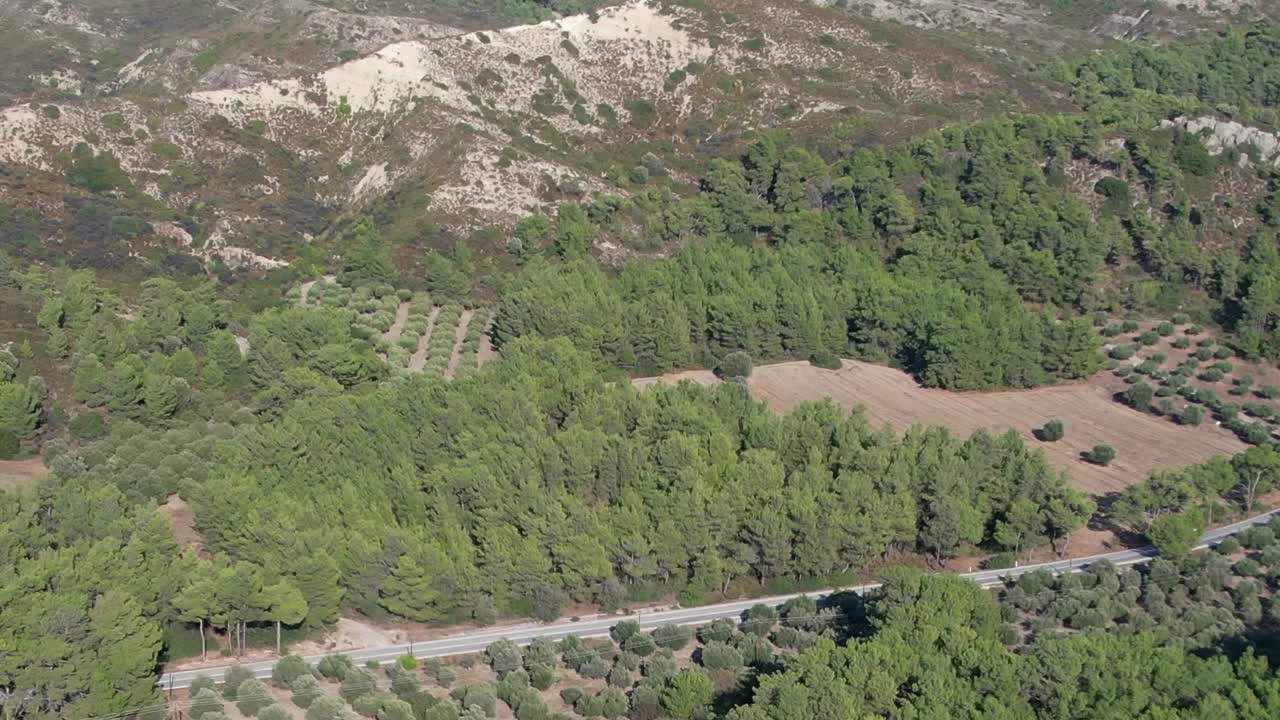Aerial view of lush olive groves in Greece surrounded by mountains