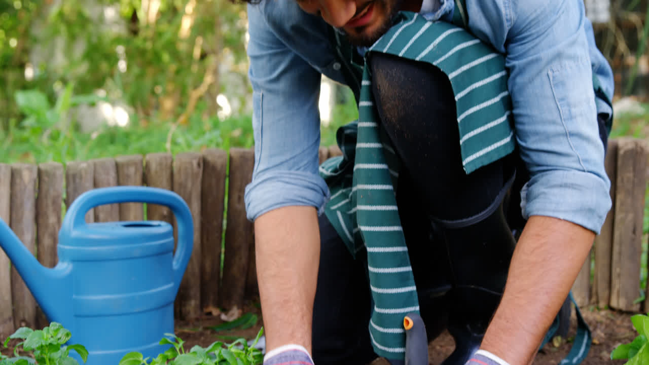 jardinero plantando un árbol pequeño en el jardín