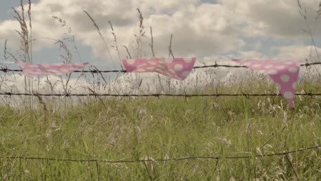 Bunting-polka-dot-against-cloudy-blue-sky-in-rural-landscape