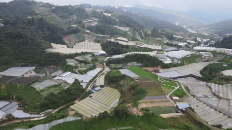 general landscape view of the brinchang district within the cameron highlands area of malaysia