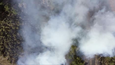 antena - torres de humo sobre las llamas de un incendio forestal