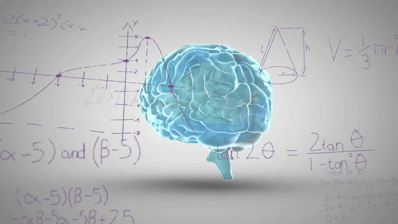 animación de procesamiento de datos matemáticos sobre el cerebro humano en fondo gris