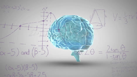 animación de procesamiento de datos matemáticos sobre el cerebro humano en fondo gris