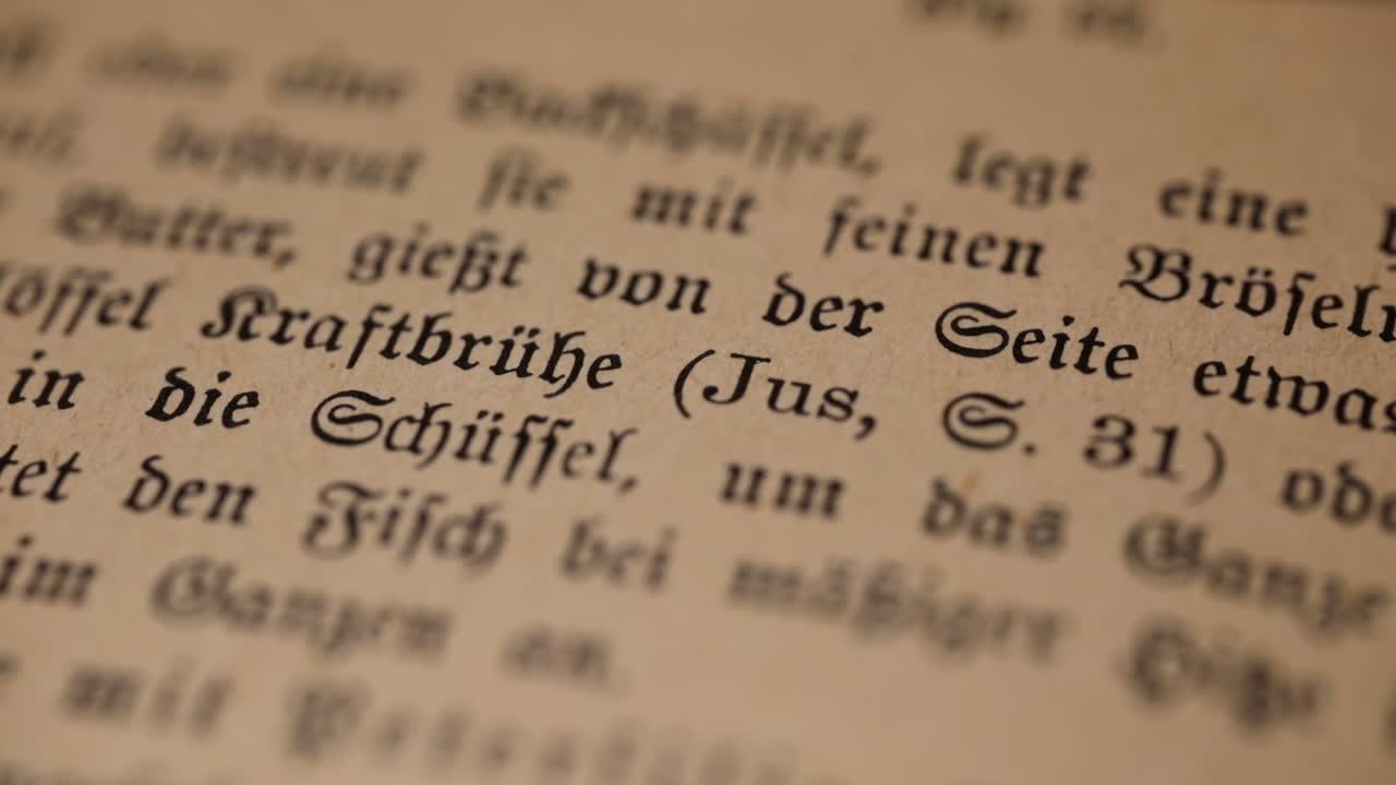 Closer view from the old fashioned German cookbook and its foods descriptions