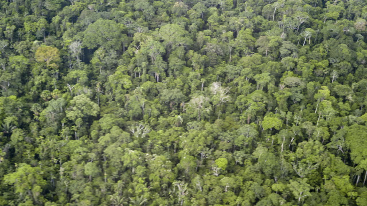 Aerial view of mountains and jungle in the Amazon, Ecuador