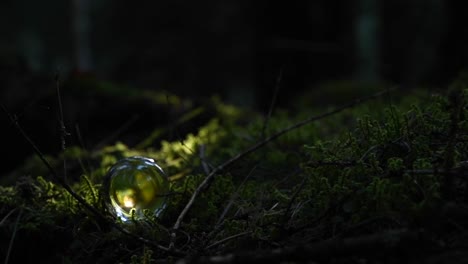 time lapse of a crystal ball on moss in a forest reflecting the landscape with fast changing light