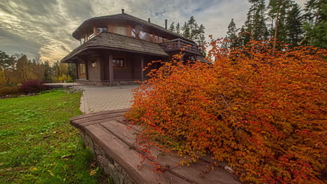 static shot of red dry leaves of a small bush beside a wooden bungalow on a cloudy day in timelapse