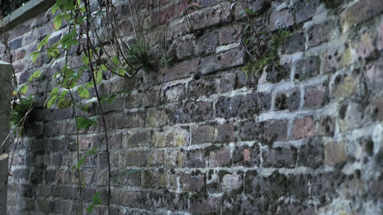 viejo grunge de ladrillo de pared de panorámica disparado