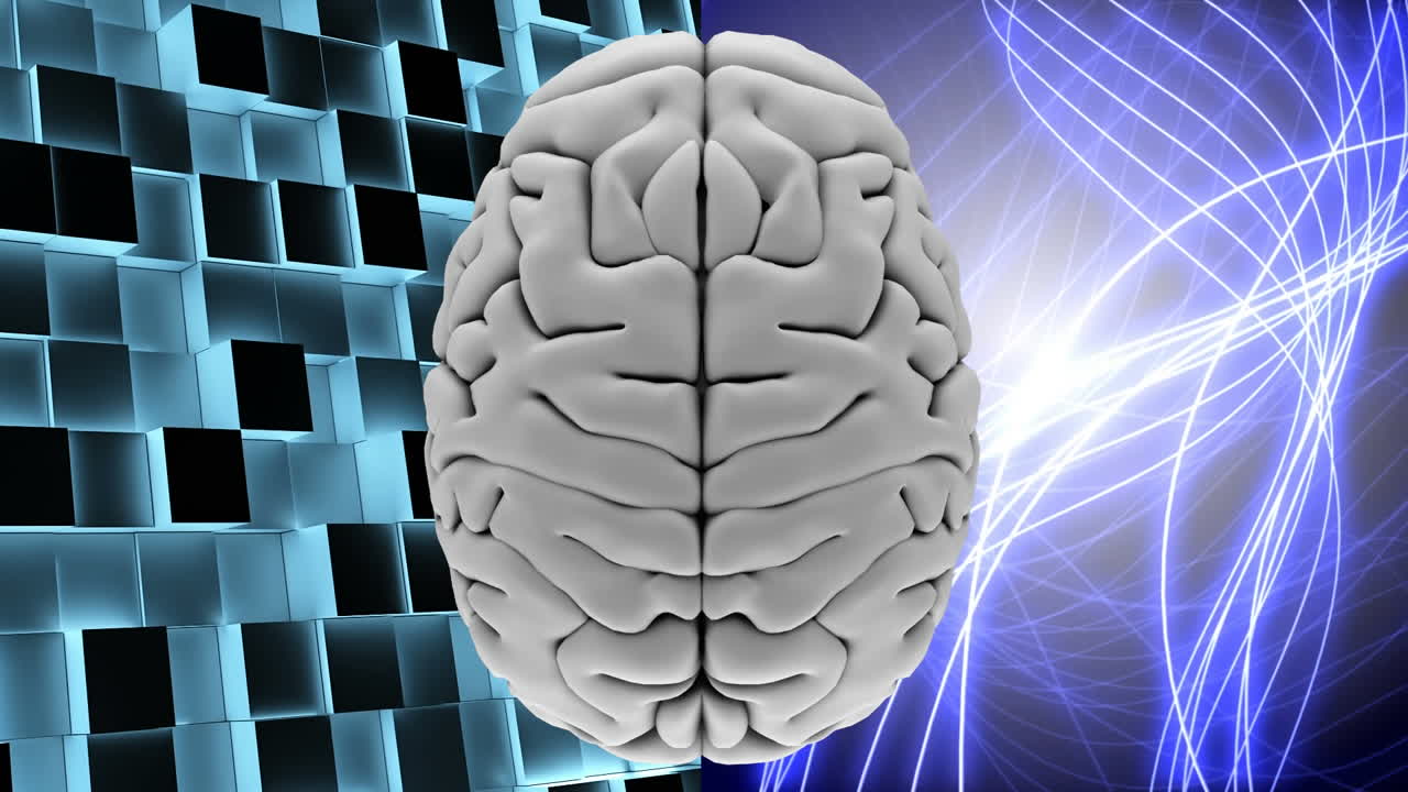 밝은 빛의 선과 사각형이 있는  ⁇ 색 뇌