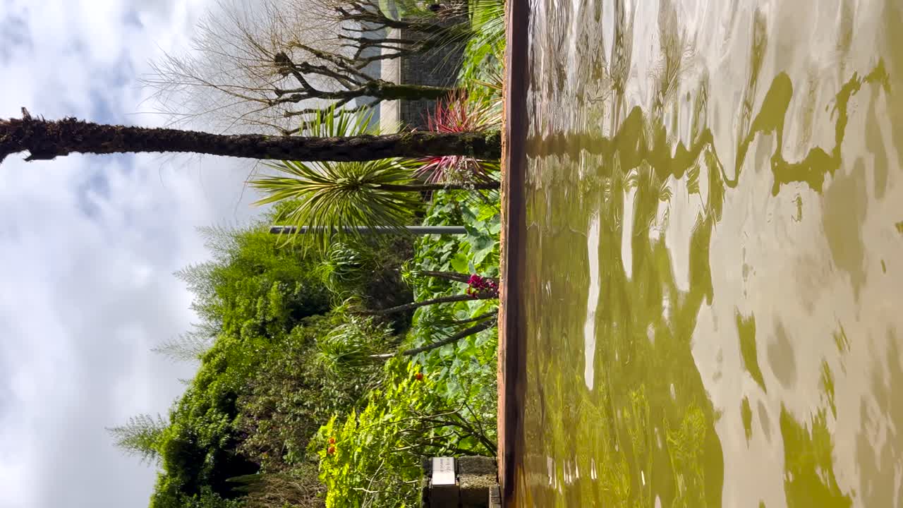 상 미구엘 섬의 푸라스 (furanas) 에 있는 푸사 다 도나 비야 (poca da dona beija) 의 황금색 온천 수영장의 평화로운 풍경은 자연 온천을 둘러싸고 있는 울창한 초록색과 열대 식물들을 반영하고 있습니다.