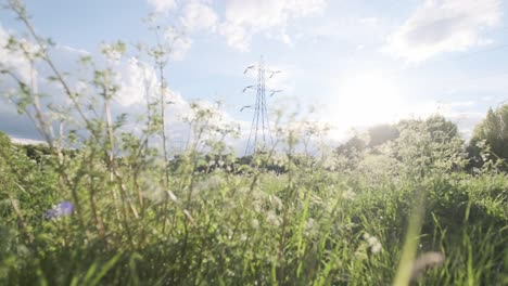 Slider-Schuss-Von-Stromleitungen-Elektrischer-Pylon-An-Einem-Sonnigen-Tag-Auf-Der-Grünen-Wiese